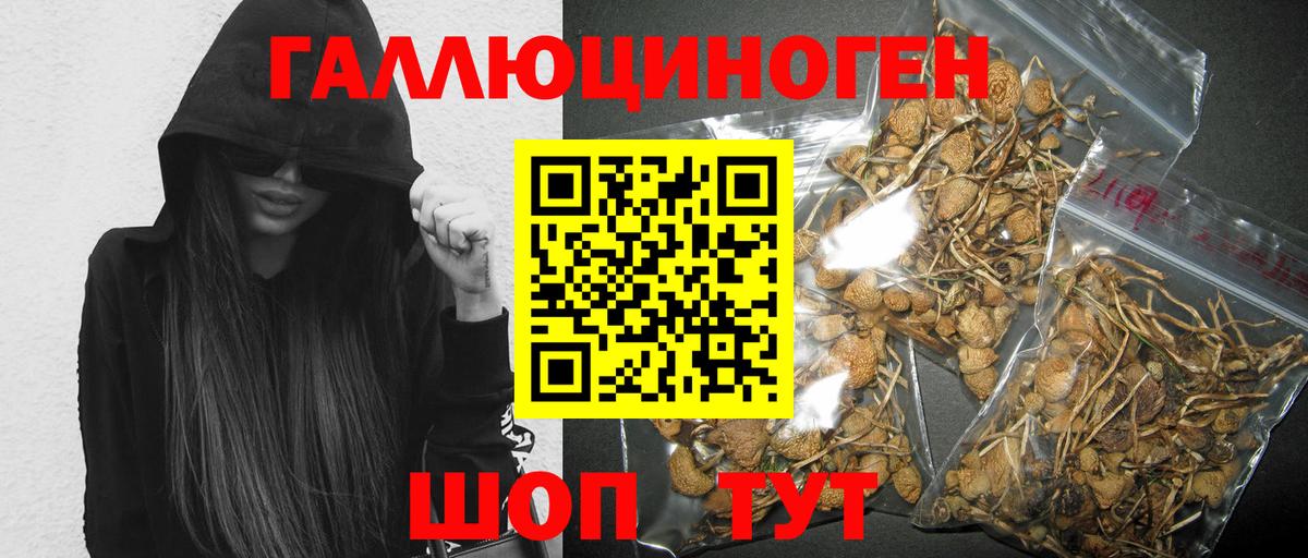 Псилоцибиновые грибы Cubensis Медногорск